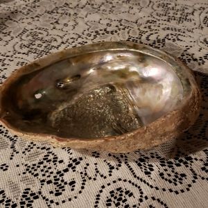 Abalone Shell.